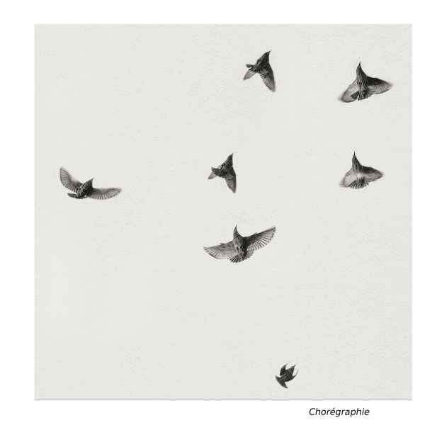 Chorégraphie