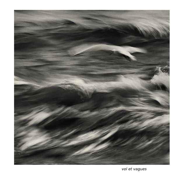 vol et vagues